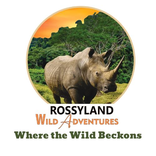Rossyland Wild Adventures