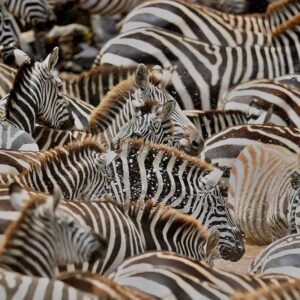 "affordable Kenya travel,"